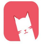 猫咪视频app地域网名版